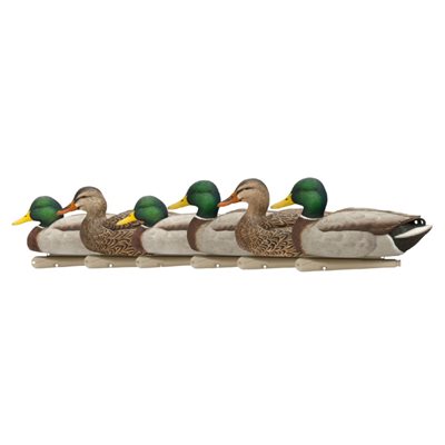 Appelants TOPFLIGHT OPEN WATER MALLARDS