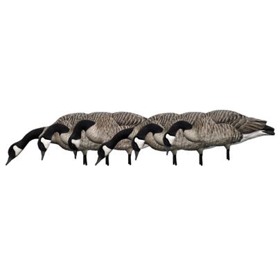 Appelants AXP HONKERS FEEDER PACK Outardes