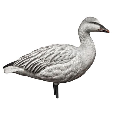 Appelants AXP JUVENILE SNOW GOOSE Feeder kit Oies