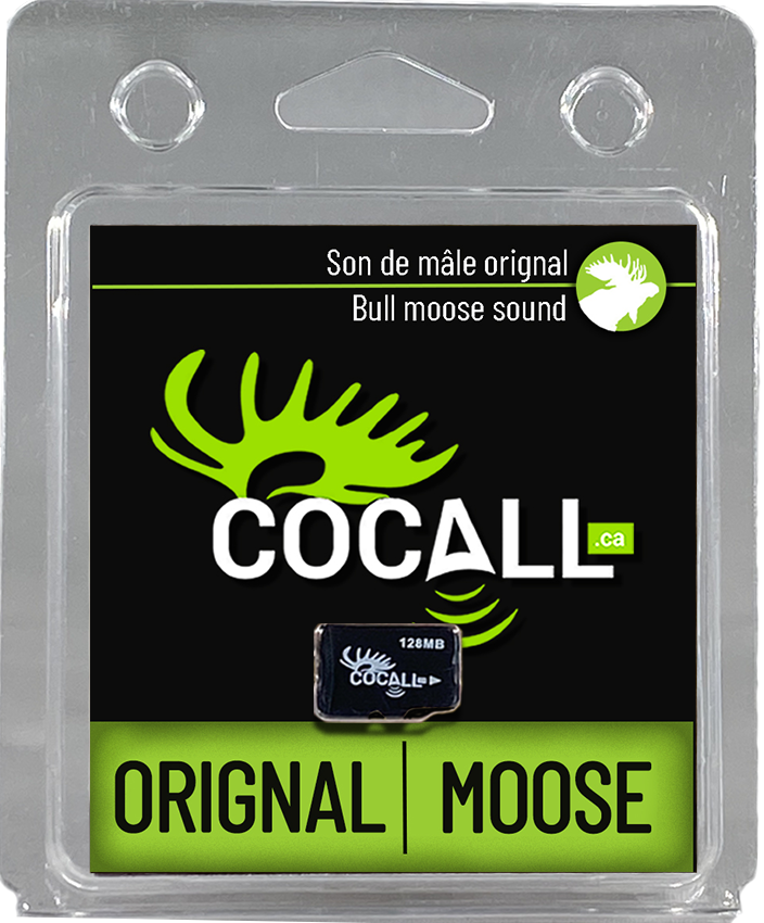 COCALL CARTE MICRO SD ''SON DE MÂLE ORIGNAL'' 