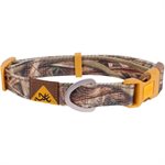 Collier pour chien camouflage petit 10"-16"