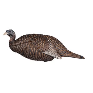 FLEXTONE APPELANT THUNDER CHICK BREEDER DINDE FULL BODY FLXDY331