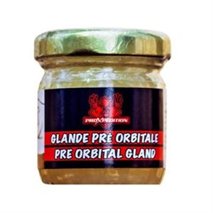 Glande pré orbitale synthétique 45ml