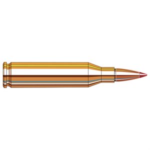 HORNADY MUNITION SUPERFORMANCE CAL. 243 WIN. 95GR. SST 80463