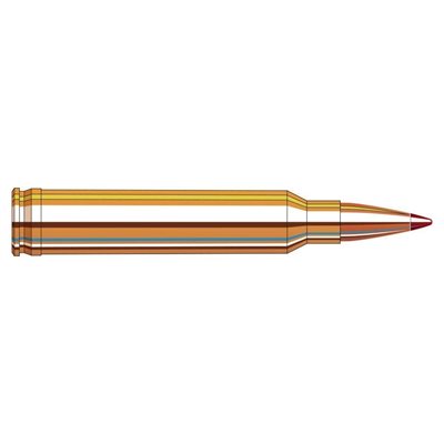 HORNADY MUNITION PRECISION HUNTER CAL. 300 WIN. MAG. 200GR. ELD-X 82002