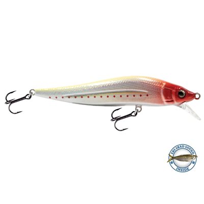 LIVINGSTON POISSON NAGEUR JERKMASTER JR 4" MONEY CLOWN 14064