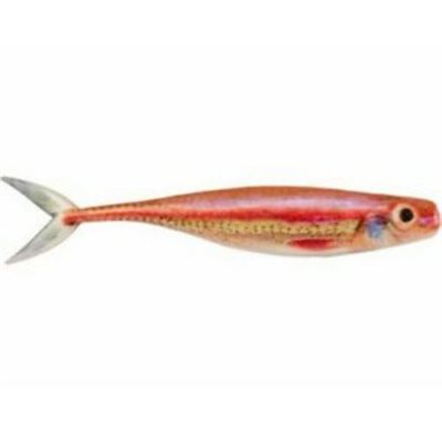 LEURRE POWERBAIT CHAMP MINNOW 3.4'' RNBO SHINER PBTC