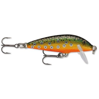 POISSON NAGEUR COUNTOWN 05 BROOK TROUT CD05 BTR