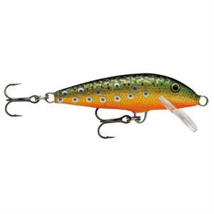 POISSON NAGEUR FLOATING 05 LIVE BROOK TROUT F05BKL