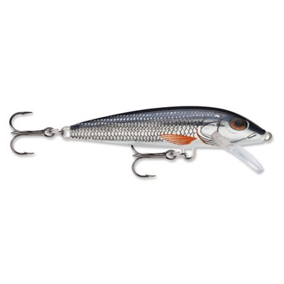 POISSON NAGEUR FLOATING 05 SHINER F05SH