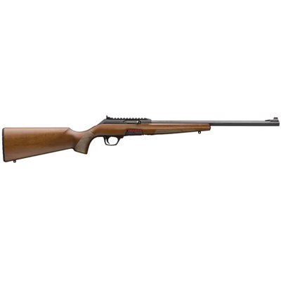 WINCHESTER CARABINE WILDCAT SPORTER ,S, CAL. 22LR